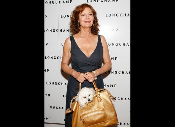Susan Sarandon carrying her bag with her Bichon Frise inside