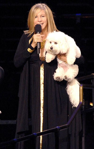 Barbra Streisand on the stage talking while carrying her Bichon Frise