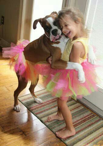Boxer dog dancing with the kid while wearing a pink and yellow tutu