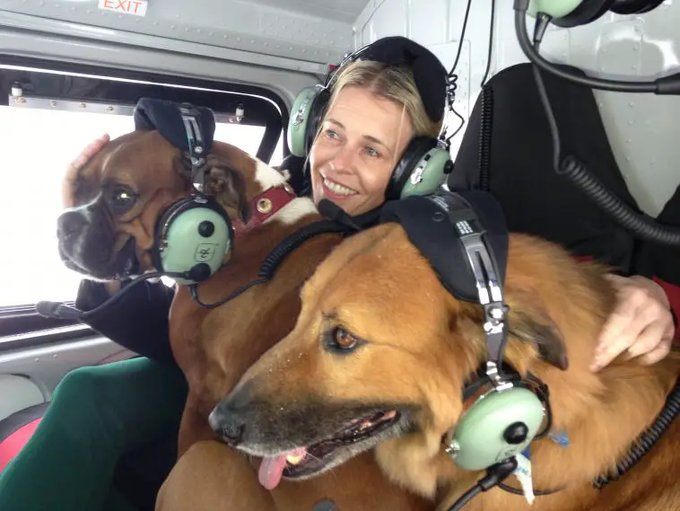Chelsea Handler inside the helicopter with his Boxer Dog and and other dog