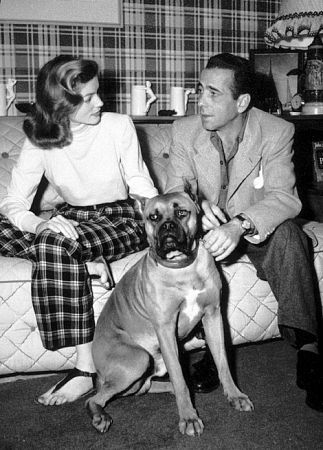 Humphrey Bogart sitting on the couch with her Boxer dog on the floor