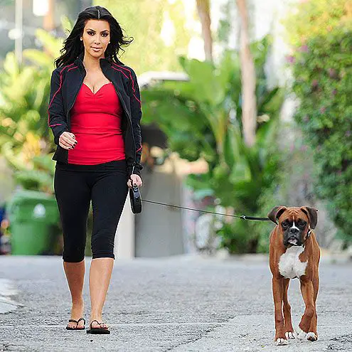 Kim Kardashian walking in the street with her Boxer Dog on a leash