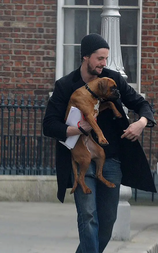 Matthew Goode carrying his Boxer Dog while walking in the street