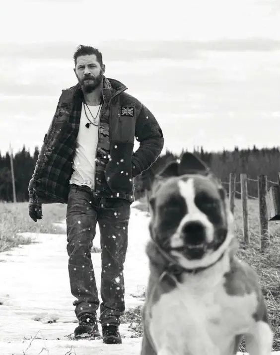 black and white photo of Tom Hardy looking after his running Boxer Dog