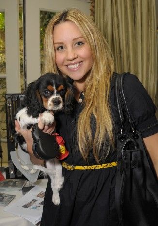 Amanda Bynes with her Cavalier King Charles Spaniels dog
