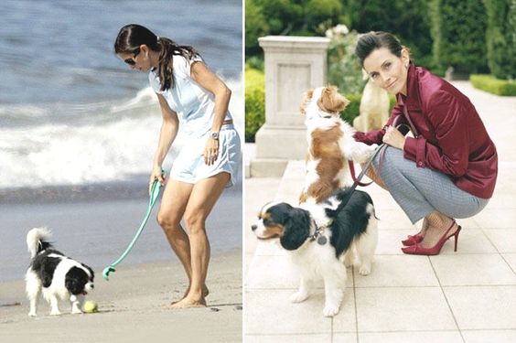 Courteney Cox with her Cavalier King Charles Spaniels