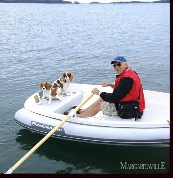  Jimmy Buffett in a boat with his two Cavalier King Charles Spaniels