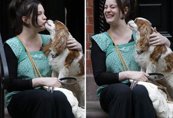 Liv Tyler sitting with her Cavalier King Charles Spaniel dog