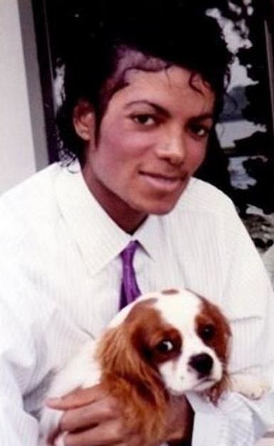 Michael Jackson with his Cavalier King Charles Spaniel dog