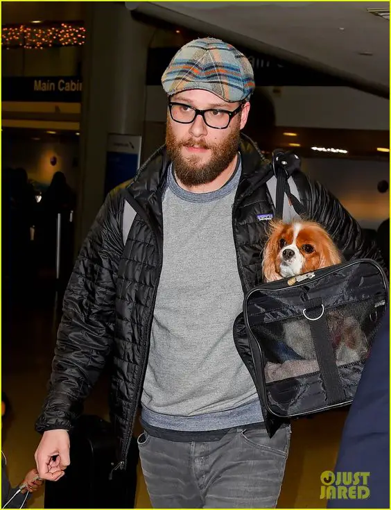 Seth Rogen with his Cavalier King Charles Spaniel dog in a bag