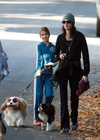 Teri Hatcher and her kid walking their Cavalier King Charles Spaniels at the park