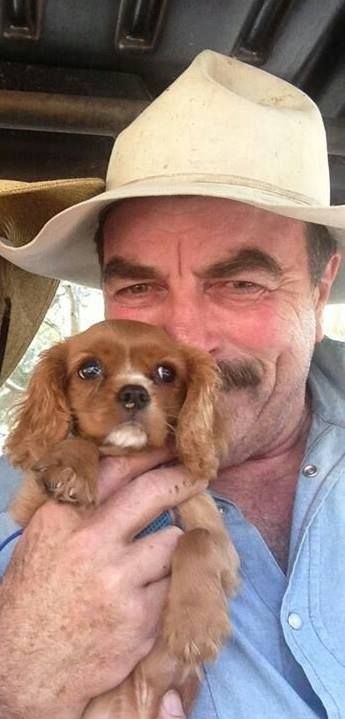 selfie of Tom Selleck with his Cavalier King Charles Spaniels puppy