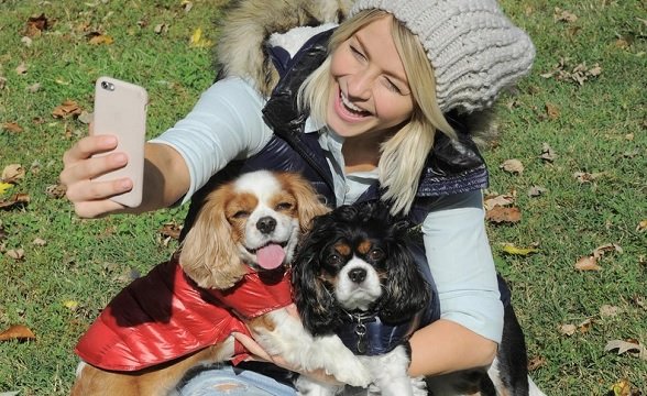 famous cavalier king charles spaniels