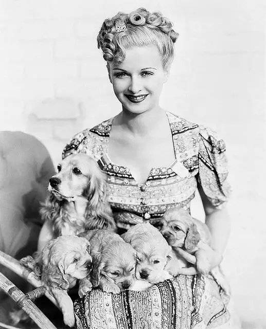 Joan Bennett sitting on the chair with her four Cocker Spaniel puppies in her lap and an adult Cocker Spaniel beside her