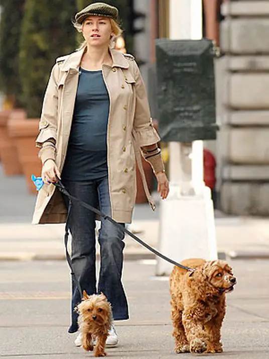 Naomi Watts walking in the street with her Cocker Spaniel