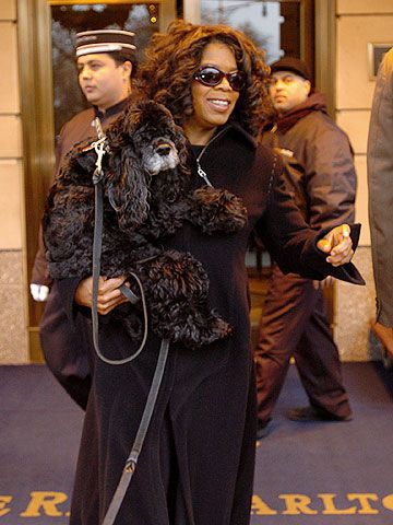 Oprah Winfrey carrying her Cocker Spaniel