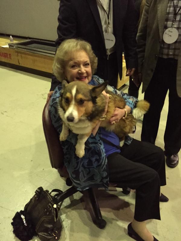 Betty White sitting on the chair while holding her Corgi