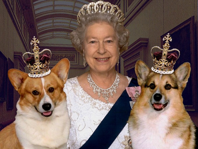 Queen Elizabeth II in between he two Corgi wearing a crown