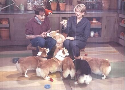 Martha Stewart with a man and her six Corgis