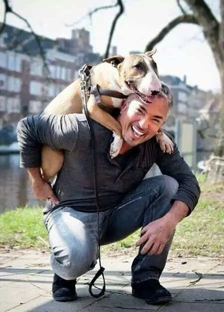 Cesar Millan with his English Bull Terrier in his back