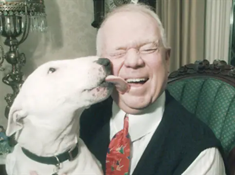 Don Cherry being licked by his English Bull Terrier