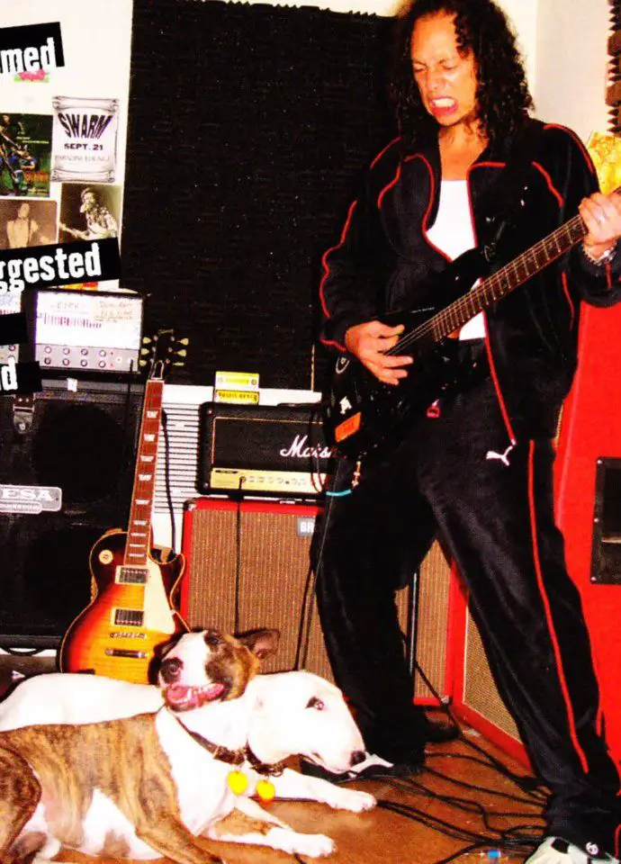 Kirk Hammett playing his guitar with his English Bull Terrier on the floor