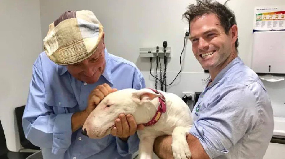 Max Hall carrying his English Bull Terrier