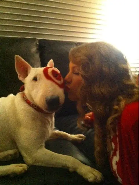 Taylor Swift kissing her English Bull Terrier