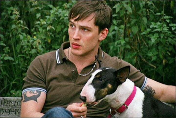 Tom Hardy feeding his English Bull Terrier