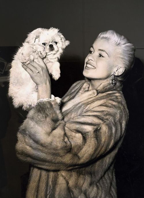 Jayne Mansfield holding up her Pekingese dog