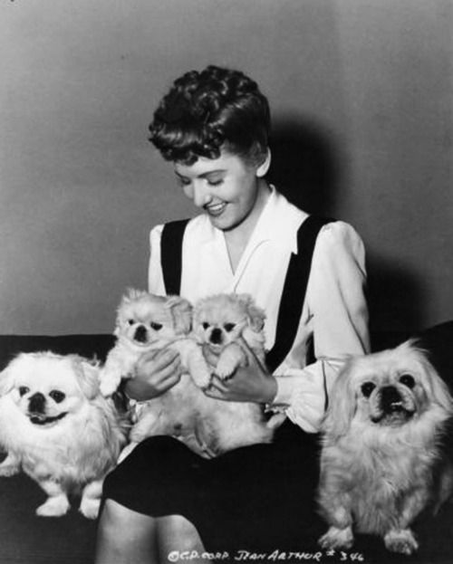 Jean Arthur sitting on the couch in between two adult Pekingese and their two puppies in her lap