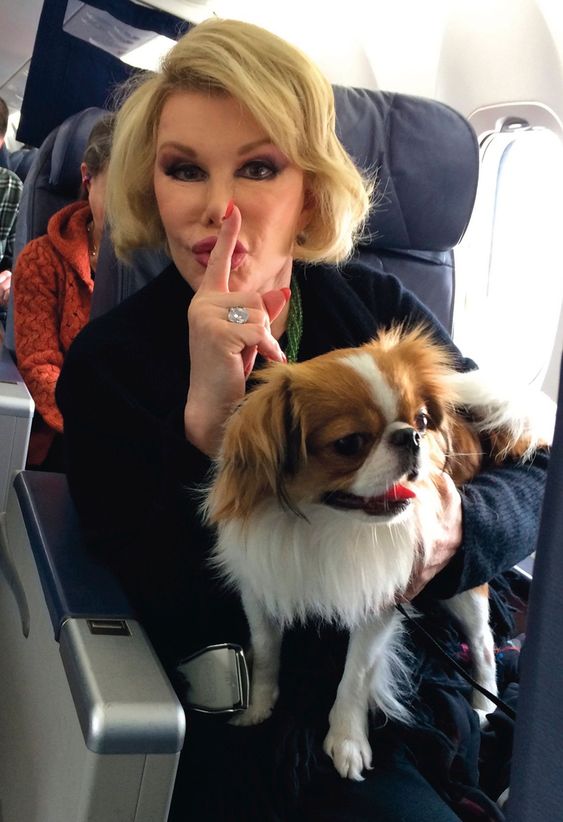 shushing Joan Rivers sitting inside the airplane with her Pekingese in her lap