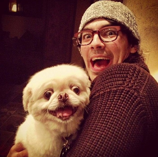 Joe Jonas smiling with his Pekingese sitting in his lap