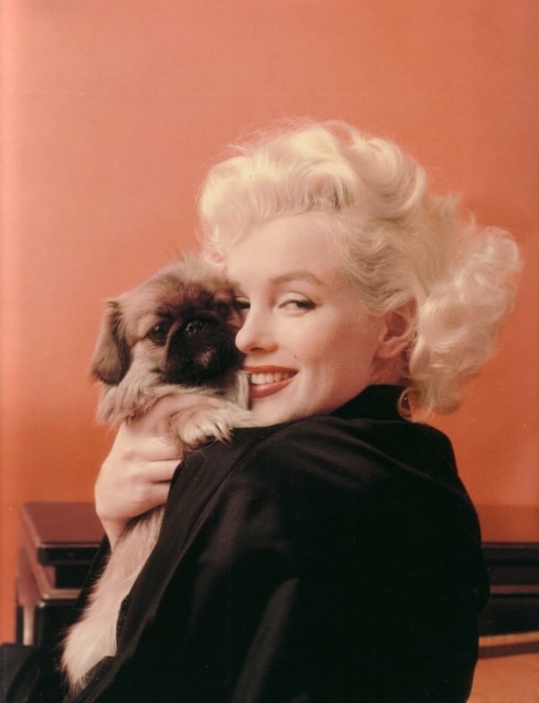 Marilyn Monroe hugging her Pekingese puppy