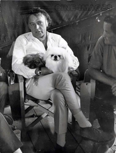 Richard Burton sitting on the chair with his two Pekingese in his lap