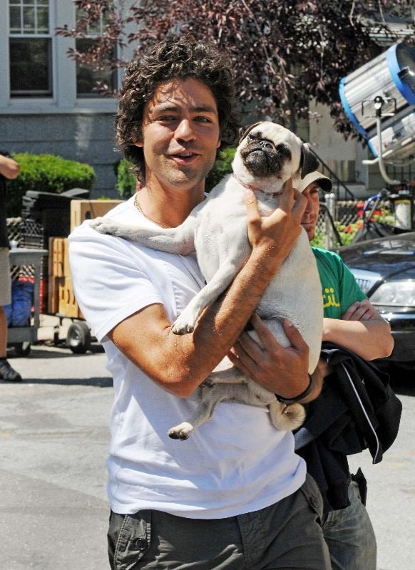 Adrian Grenier carrying his Pug