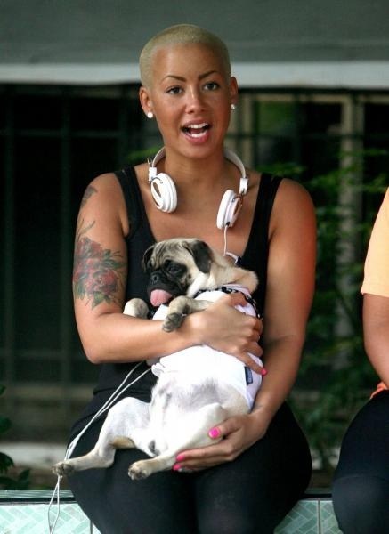 Amber Rose sitting on the bench while holding her sleeping pug in her lap