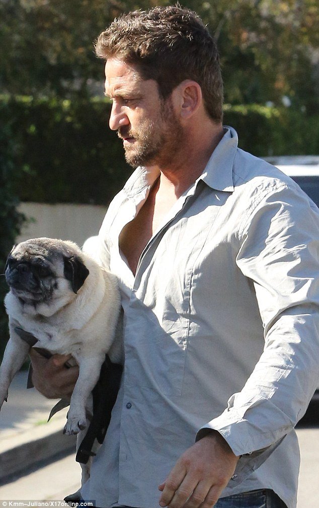 Gerard Butler walking while holding his pug in his side