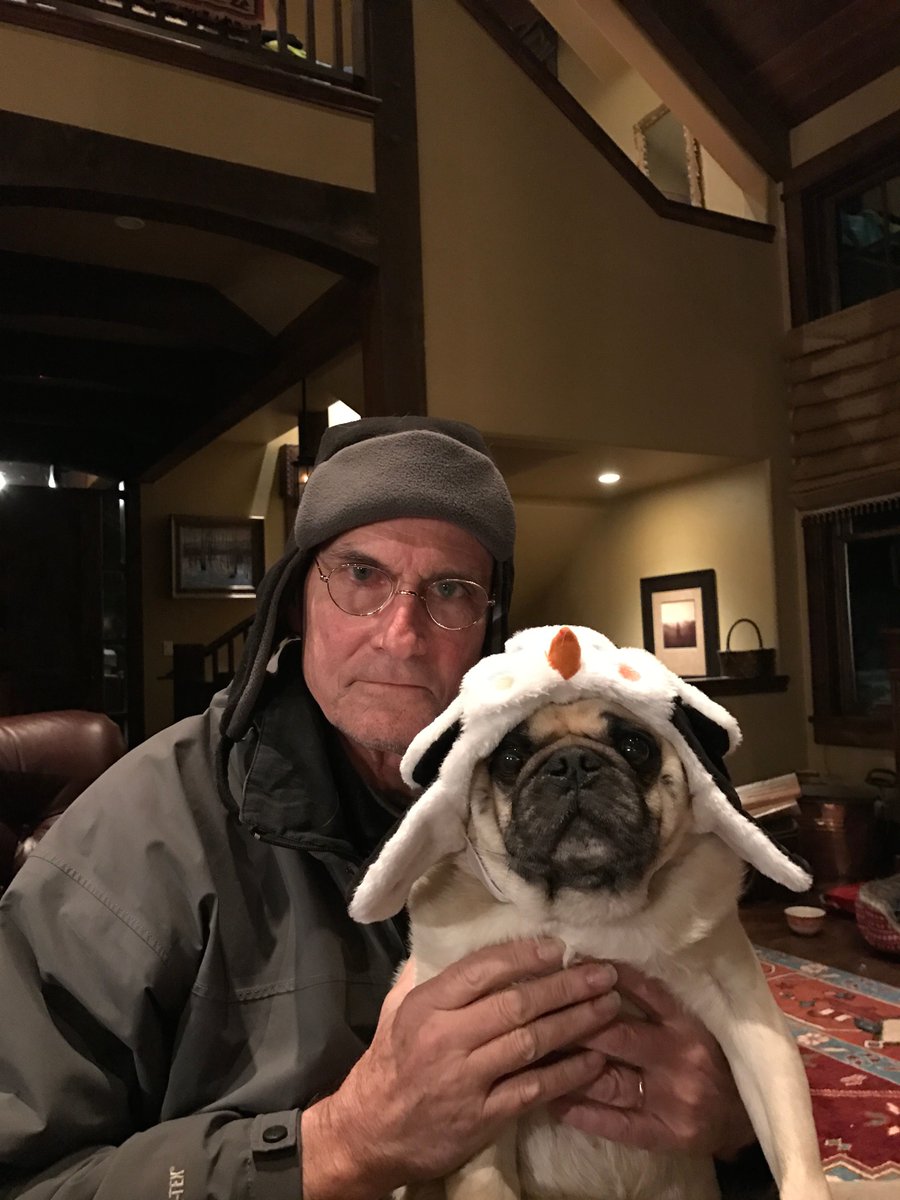 James Taylor showing his Pug wearing a unicorn headpiece