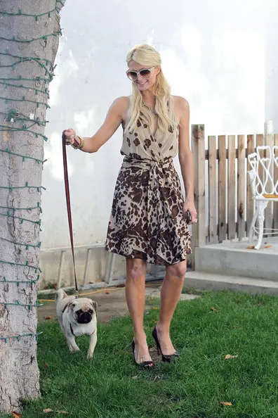 Paris Hilton walking in the garden with her Pug