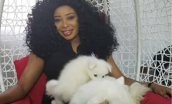 Yvonne Jegede sitting in an aesthetic sofa with her Samoyed Dogs