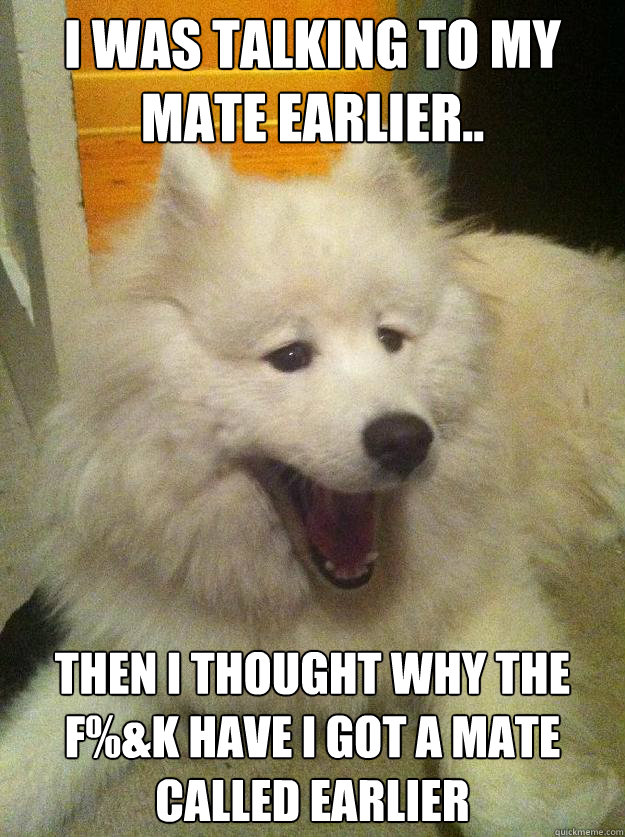 Samoyed Dog lying on the floor wits its mouth wide open photo with a text 