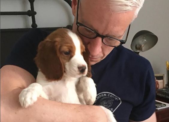 Anderson Cooper hugging his Springer Spaniel puppy