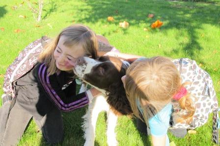 springer spaniel licking kid's face at the park