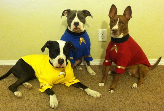 star trek dog names