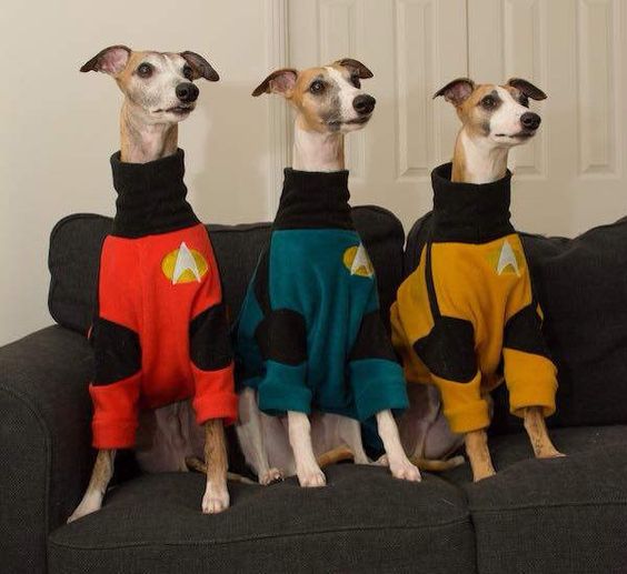 star trek dog names