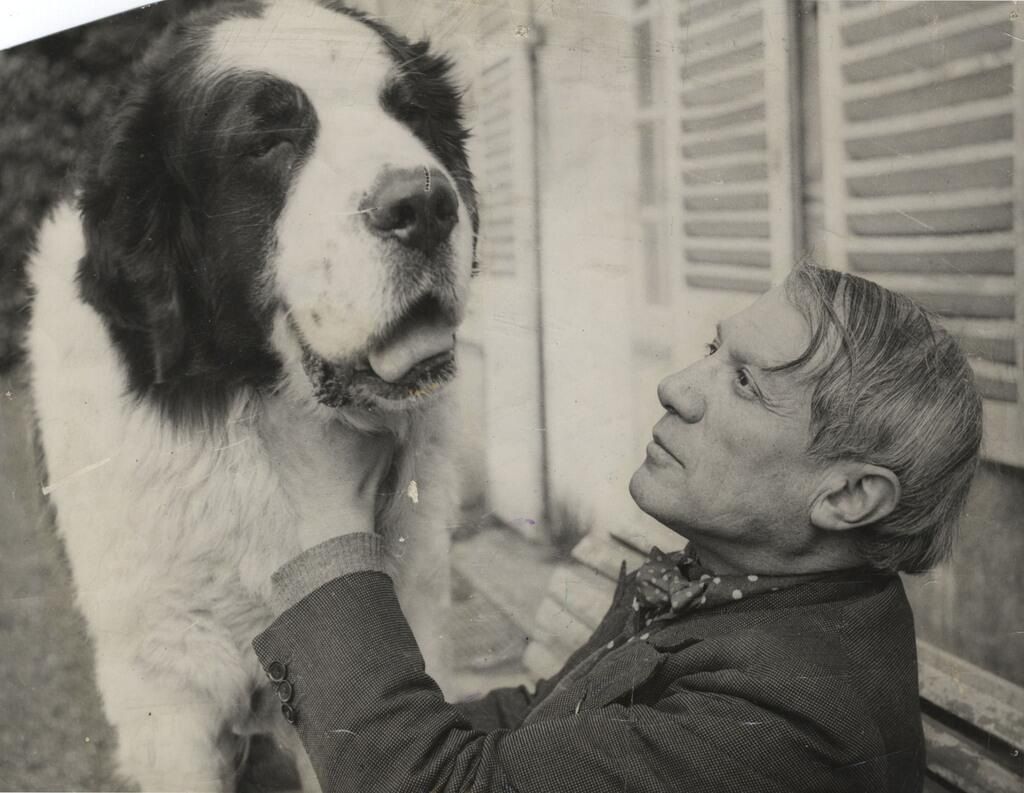 Picasso petting his large St. Bernard Dog