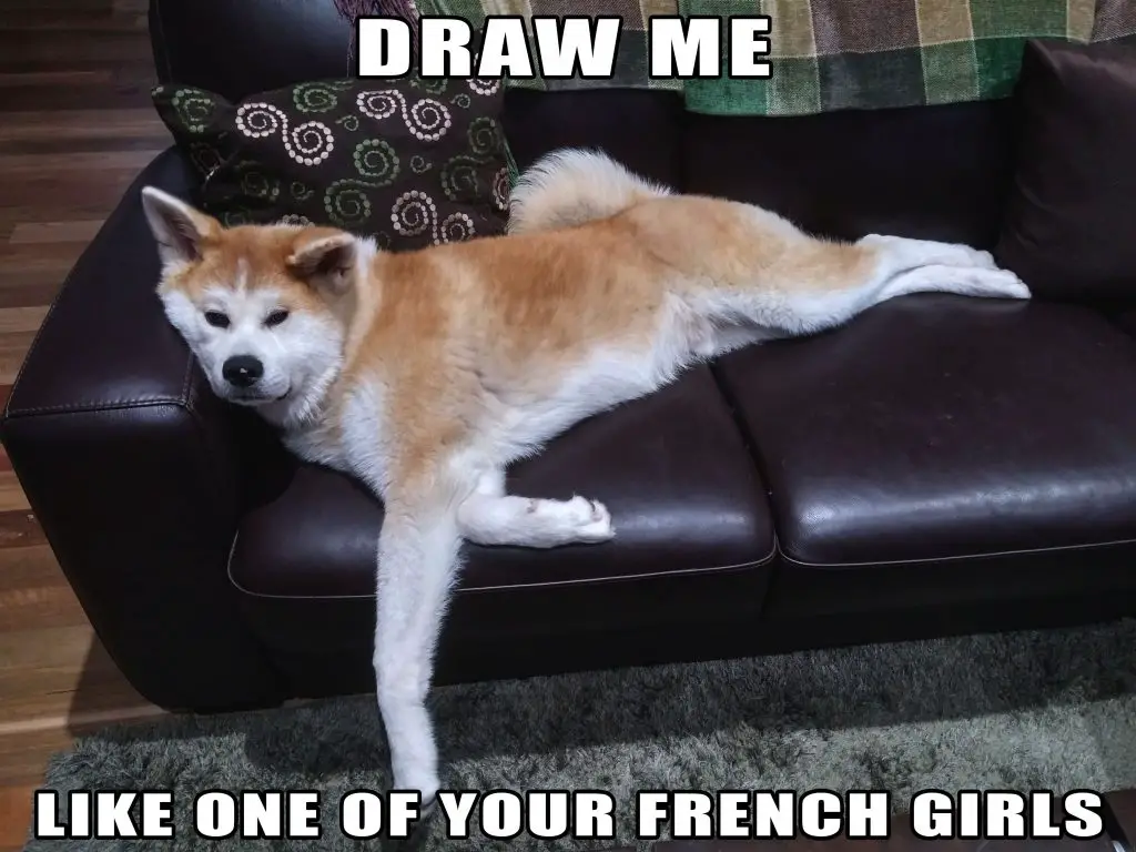 Akita Inu lying comfortably on the sofa photo with a text 