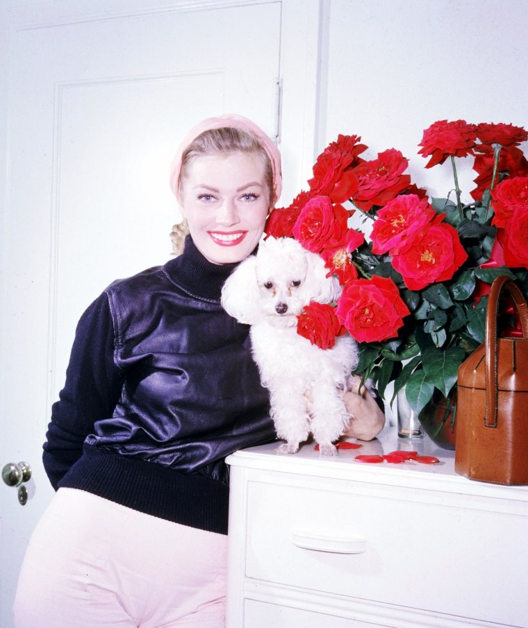 Anita Ekberg standing next to white cabinet with her Bichon Frise sitting on top beside the red flowers on a vase