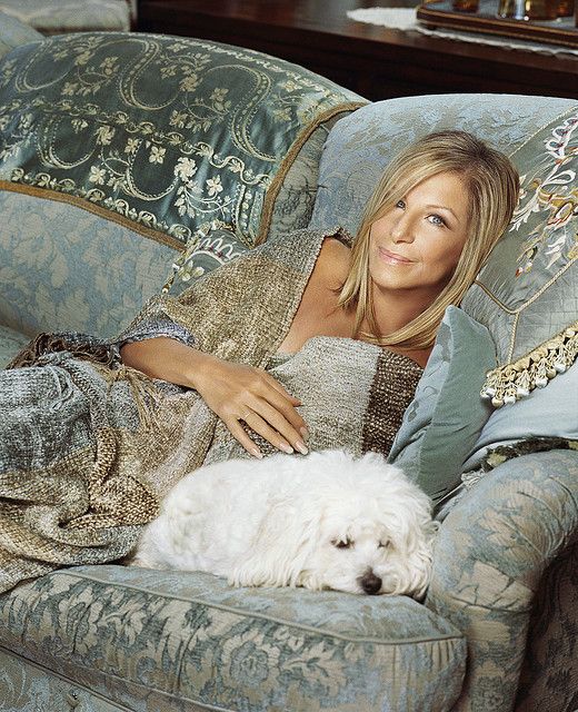 Barbra Streisand lying on the sofa behind her sleeping Bichon Frise